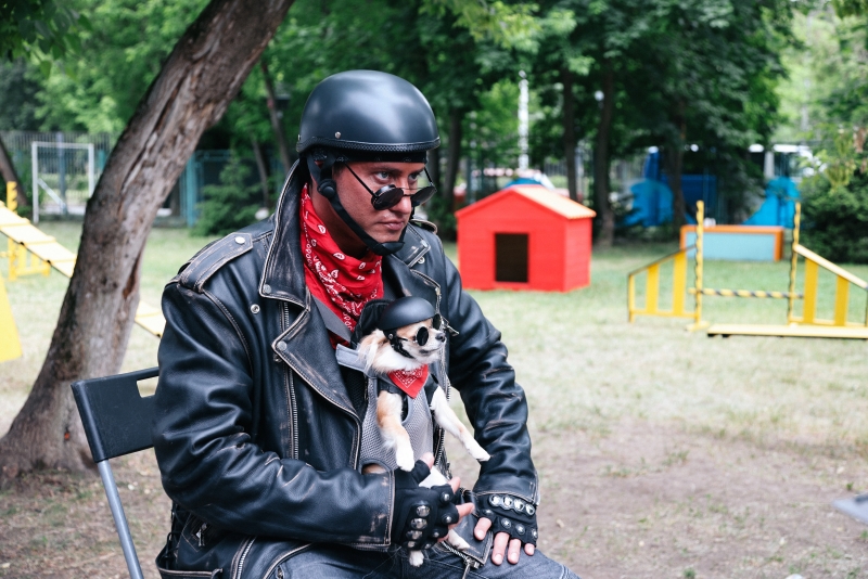 Новые «Приключения желтого чемоданчика» сопровождает «Юмор FM»